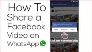 How to Share Facebook Videos Directly On WhatsApp